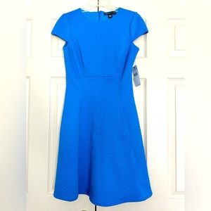 Bright blue cap-sleeved dress, size 6